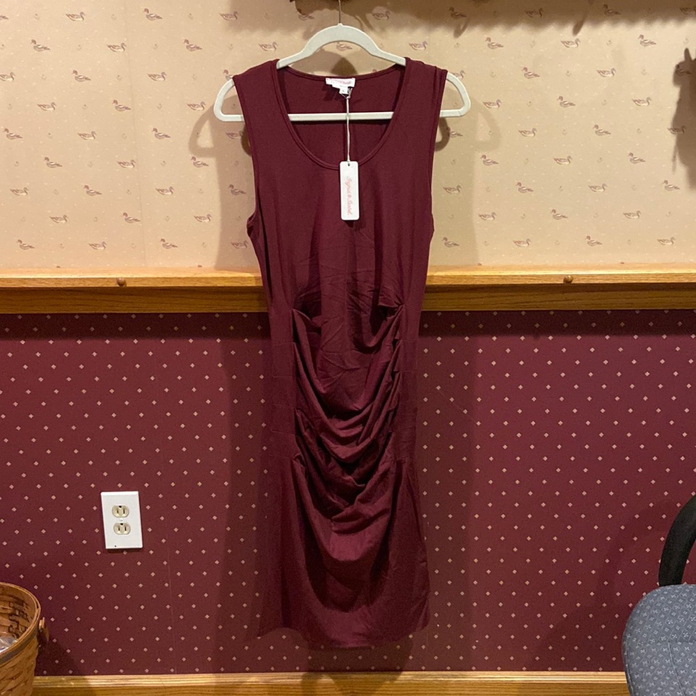NWT Ingrid & Isabel Dress